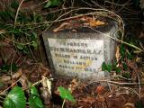 image of grave number 177689